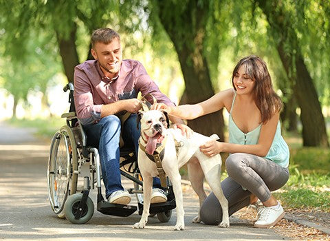 36_Mobilversion_480x350-480x9999