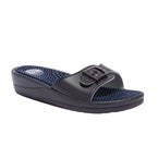 Scholl