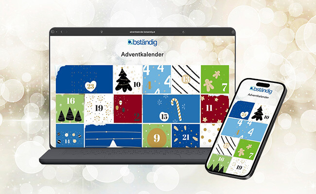 Winterlicher Header mit abstrakten Schneeflocken und warmem festlichem Licht; online Adventskalender von bständig